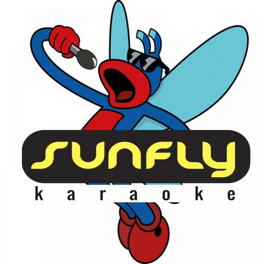 Sunfly Hits Karaoke Complete SF001 - SF344